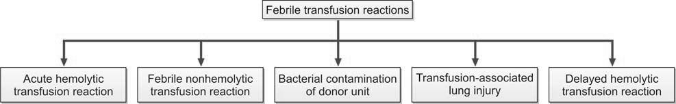 Figure 1196.2 Transfusion reactions presenting with fever