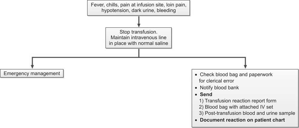 Figure 1196.3 Immediate management of a suspected transfusion reaction