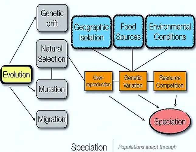 SPECIFICATION IN ORGANIC EVOLUTION