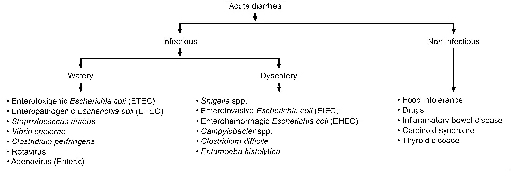 Classification of causes of acute diarrhea