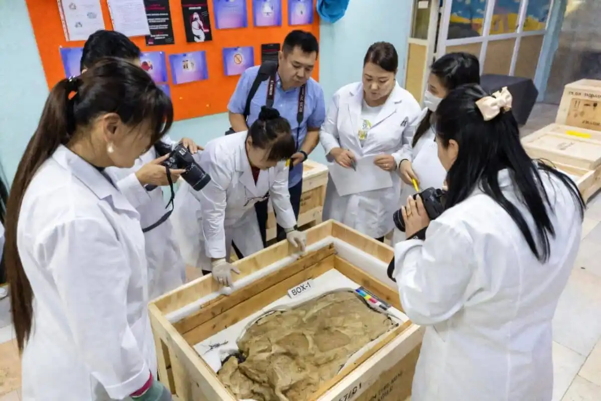Experts Examine A Repatriated Dinosaur Fossil In Ulaanbaatar.