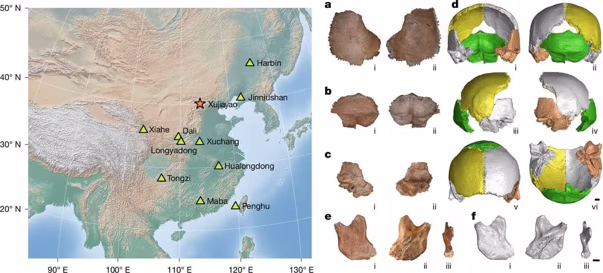 Where The Fossils Were Found And What They Look Like