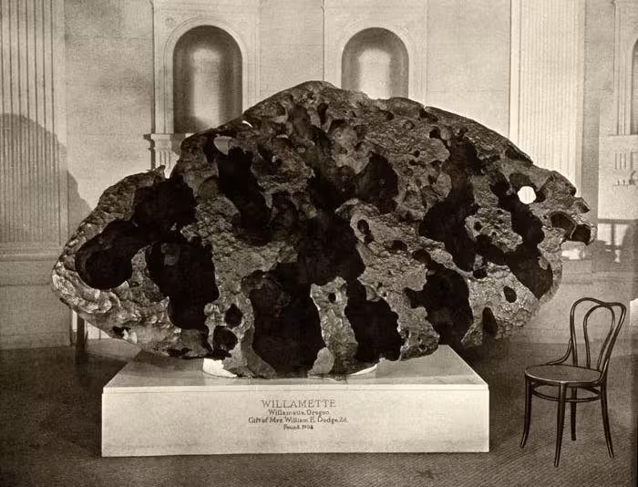 Willamette Meteorite At The New York Museum
