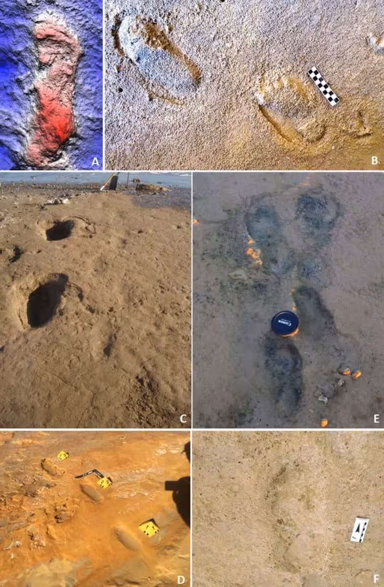 Hominin Trackways Preserved In Ancient Coastal Dunes