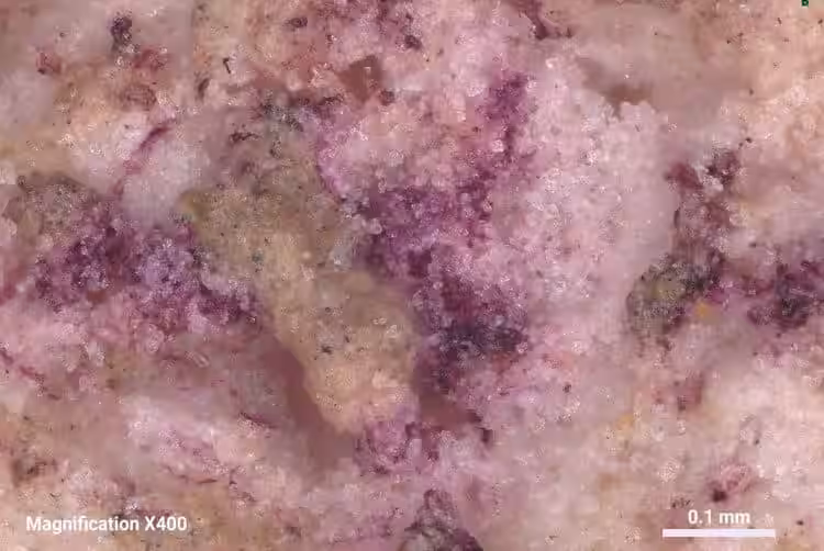 A Closer Look At The Tyrian Purple Dye