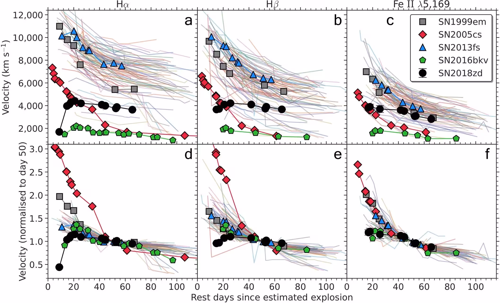 Comparison of the unnormalised (a, b, c) and normalized (to day 50; d, e, f) Hα, Hβ, and Fe ii λ5169 expansion velocities of SN 2018zd with a Type II SN sample (transparent lines), including archetypal SN 1999em, along with low-luminosity SN 2005cs, early-flash SN 2013fs, and low-luminosity and early-flash SN 2016bkv.