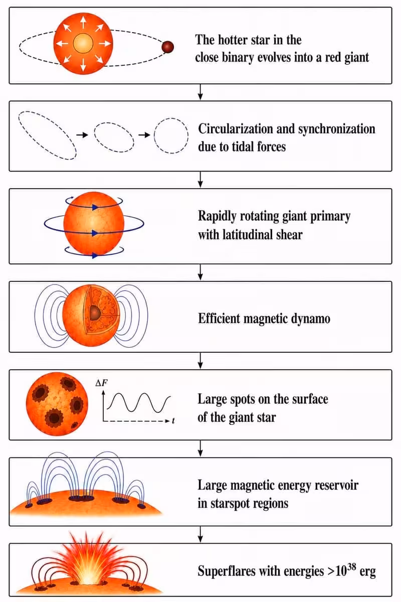 Schematic Illustration Of The Evolutionary Path Of The Close Binary System Kic 2852961, Which Led To The Formation Of The Largest Superflares. Credit Kővári Et Al. (2026)