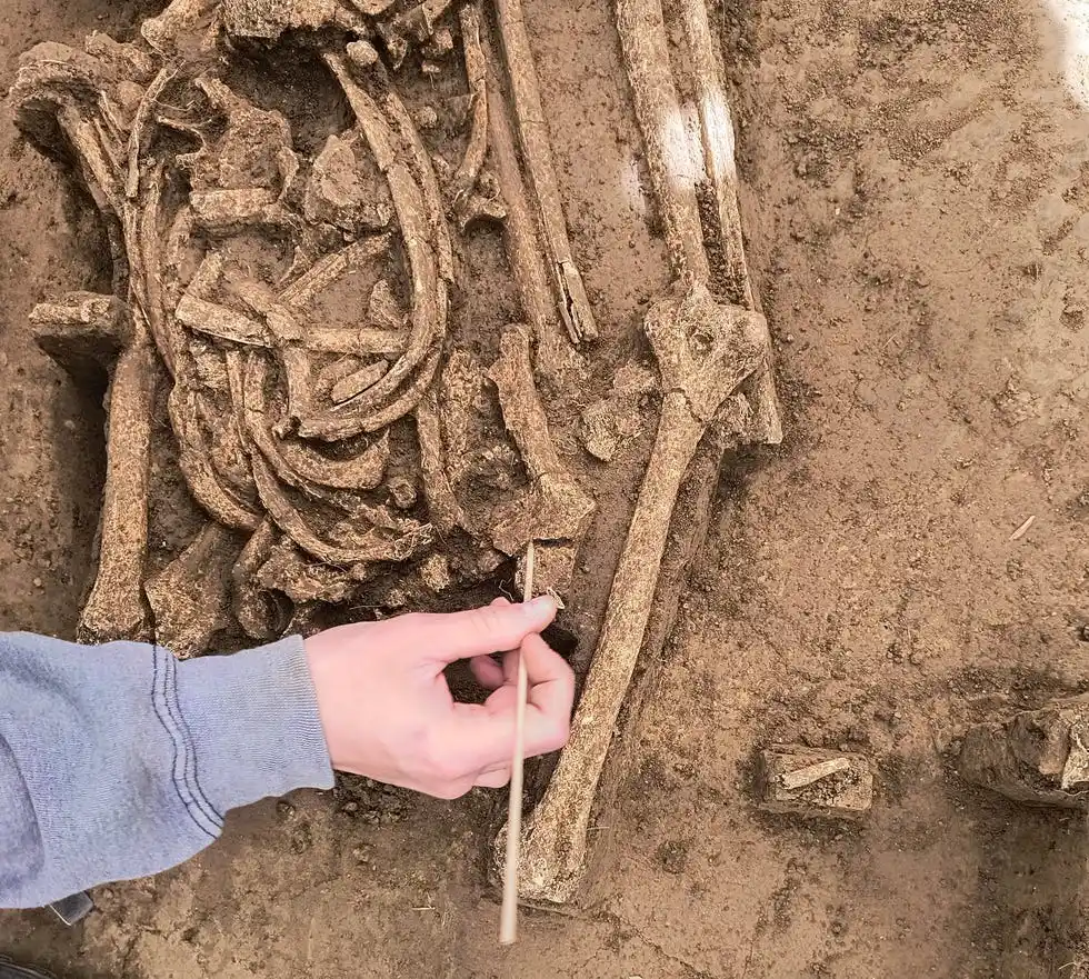 Human Bones Are Uncovered During Excavations At The Vráble Site In 2025.