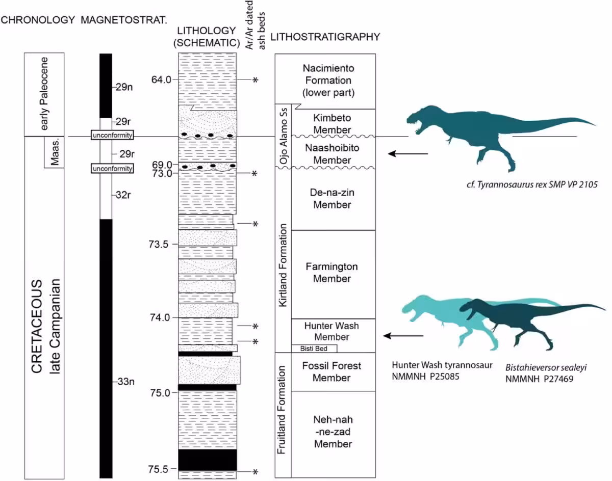 Stratigraphic Chart Placing The Hunter Wash Tyrannosaur Among Late Cretaceous Predators.