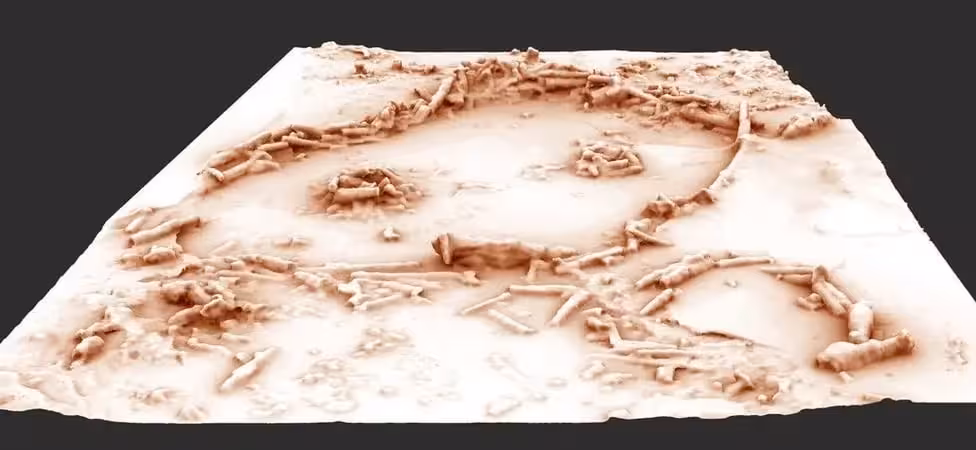 3d Reconstruction Of The Neanderthal Built Structures.