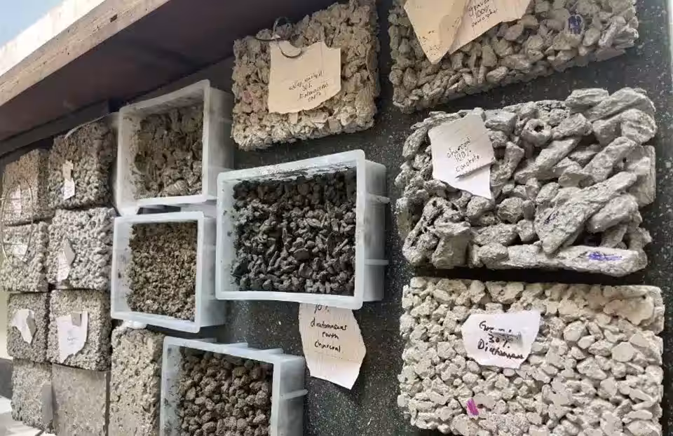 Luca Durham Tested Several Concrete Recipes Using Gravel, Charcoal And Recycled Shells.