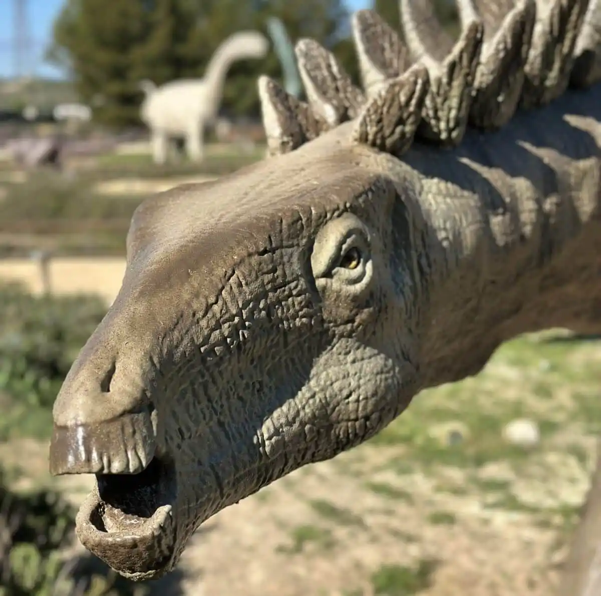 Head Of A Dacentrurus Armatus Sculpture On Display At Dinópolis