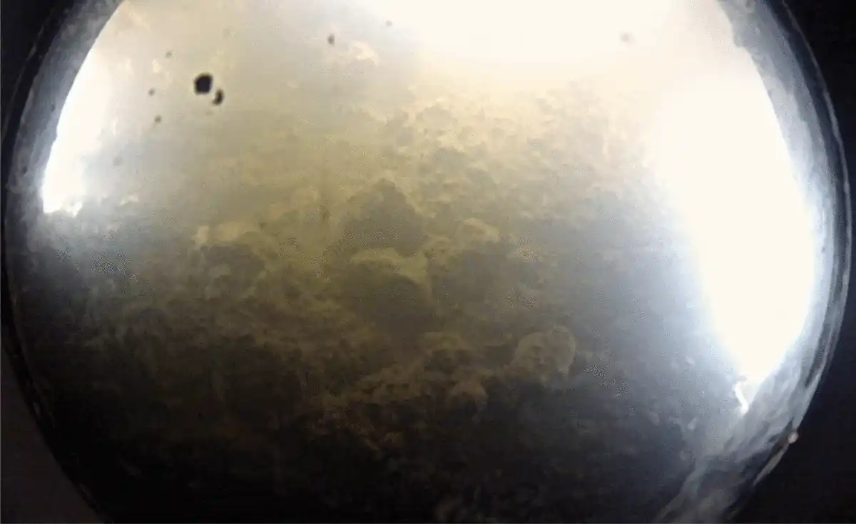 Image Of Sediments At The Bottom Of Slw Obtained By The Msled Camera