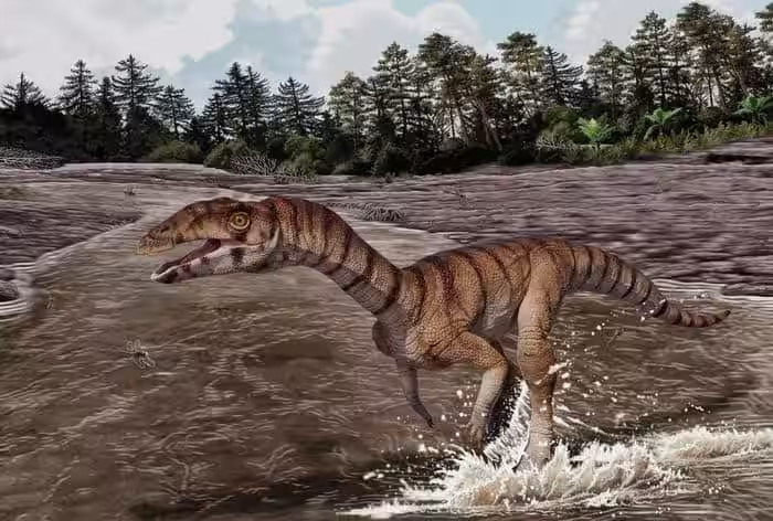 Artist’s Reconstruction Of Labrujasuchus Expectatus, A Newly Described Triassic Reptile From New Mexico.