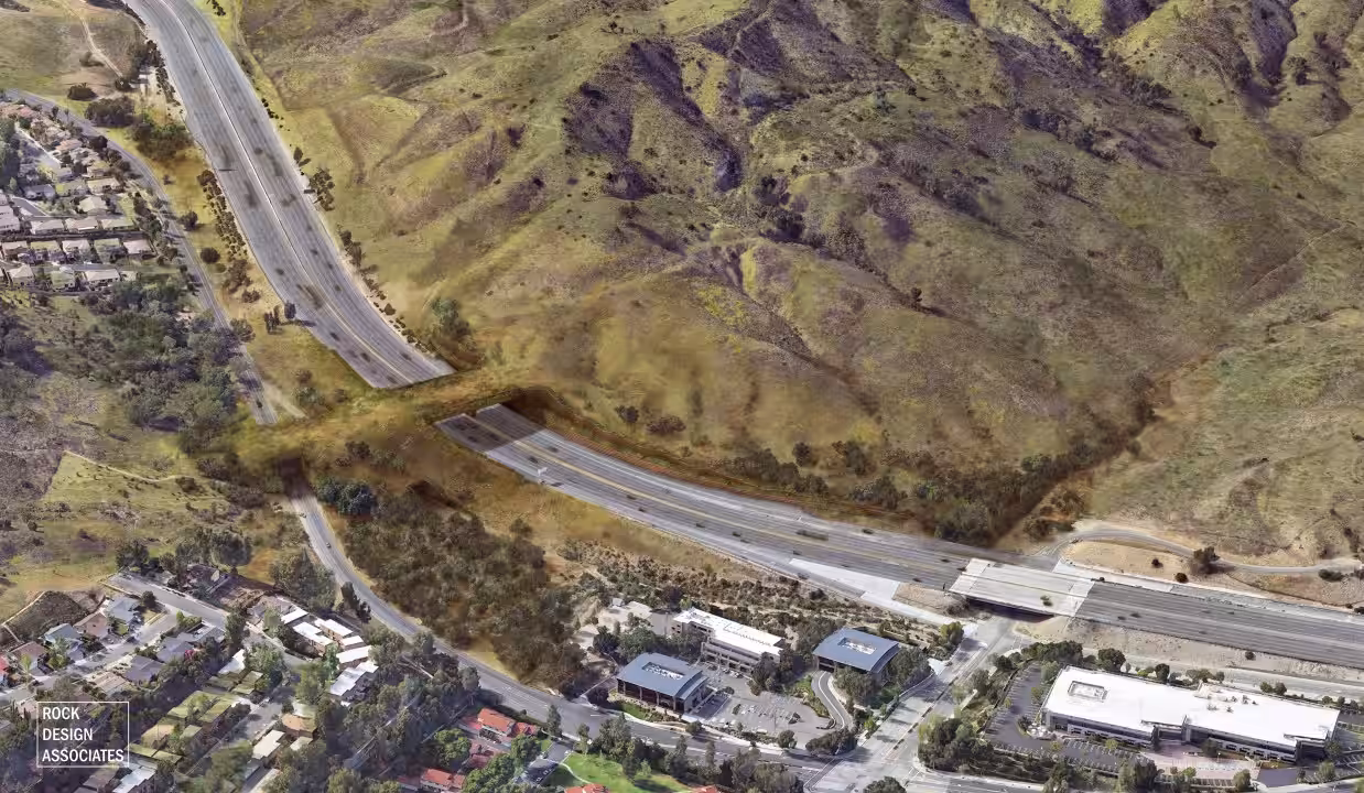 Wallis Annenberg Wildlife Bridge