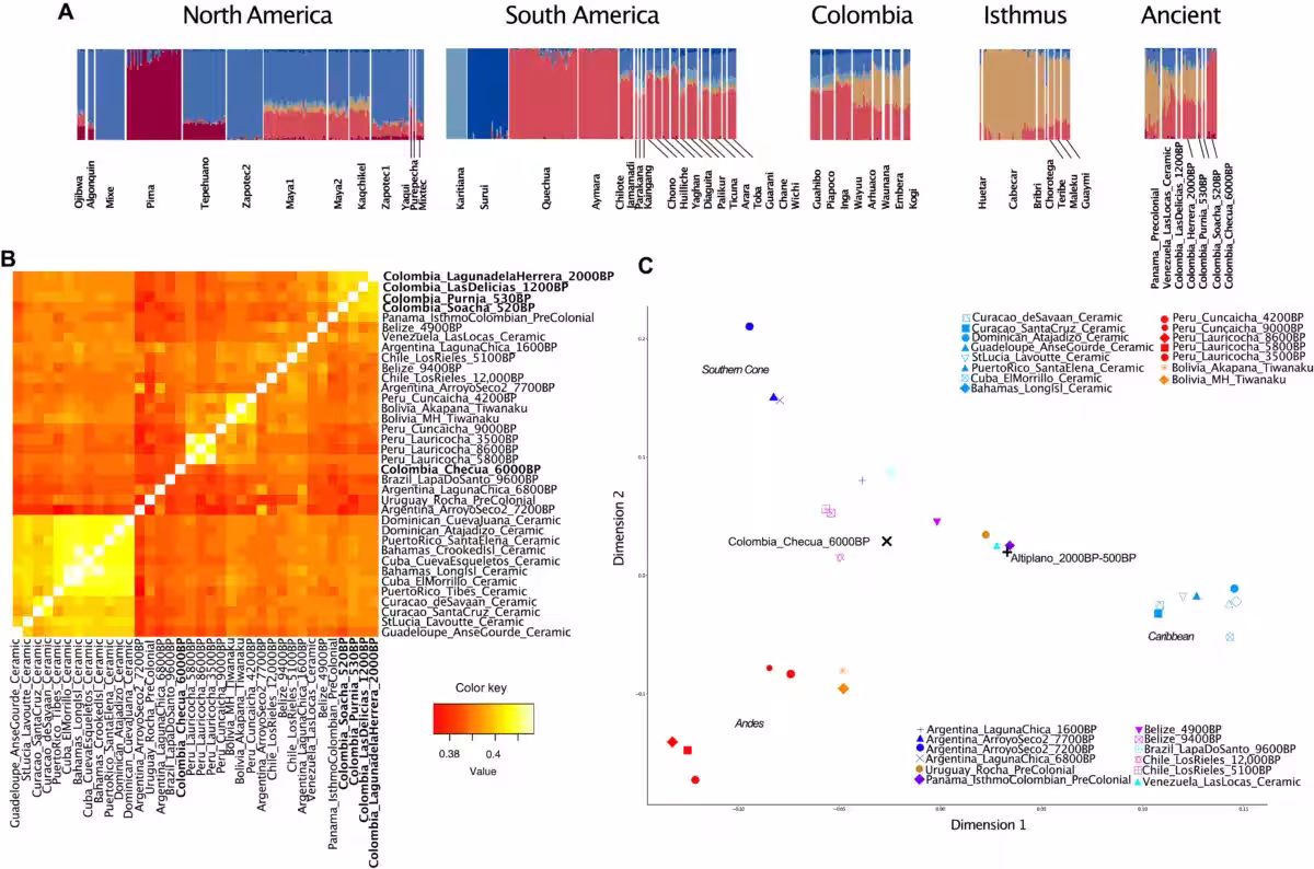 Genetic Analysis Of Ancient And Modern Populations From The Americas