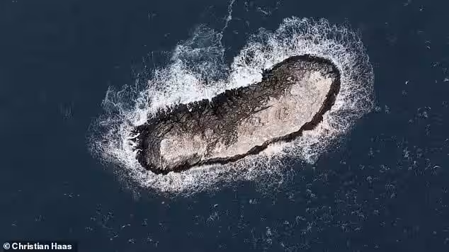 Scientists Exploring The Weddell Sea In The Antarctic Were In For A Surprise After Stumbling Across A Secret Island In An Area Marked A 'danger Zone'