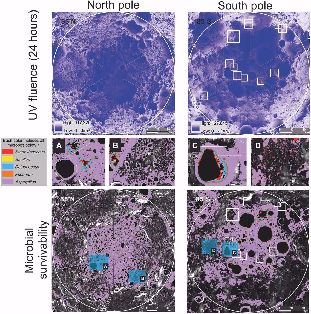 Microbes Tested In The Moon’s Frozen Polar Regions