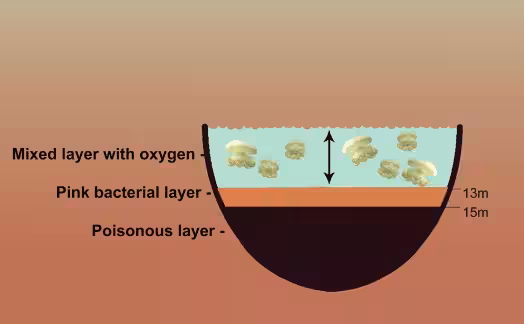 Layered Structure Of Jellyfish Lake With Oxygenated And Toxic Zones.