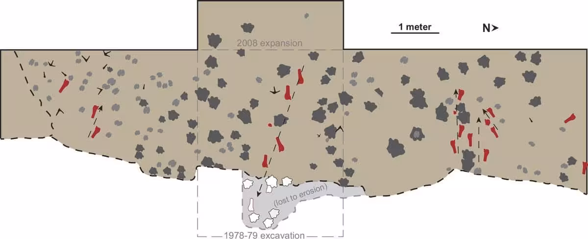Site Map Of The Excavation Area Showing The Distribution Of Fossil Tracks.