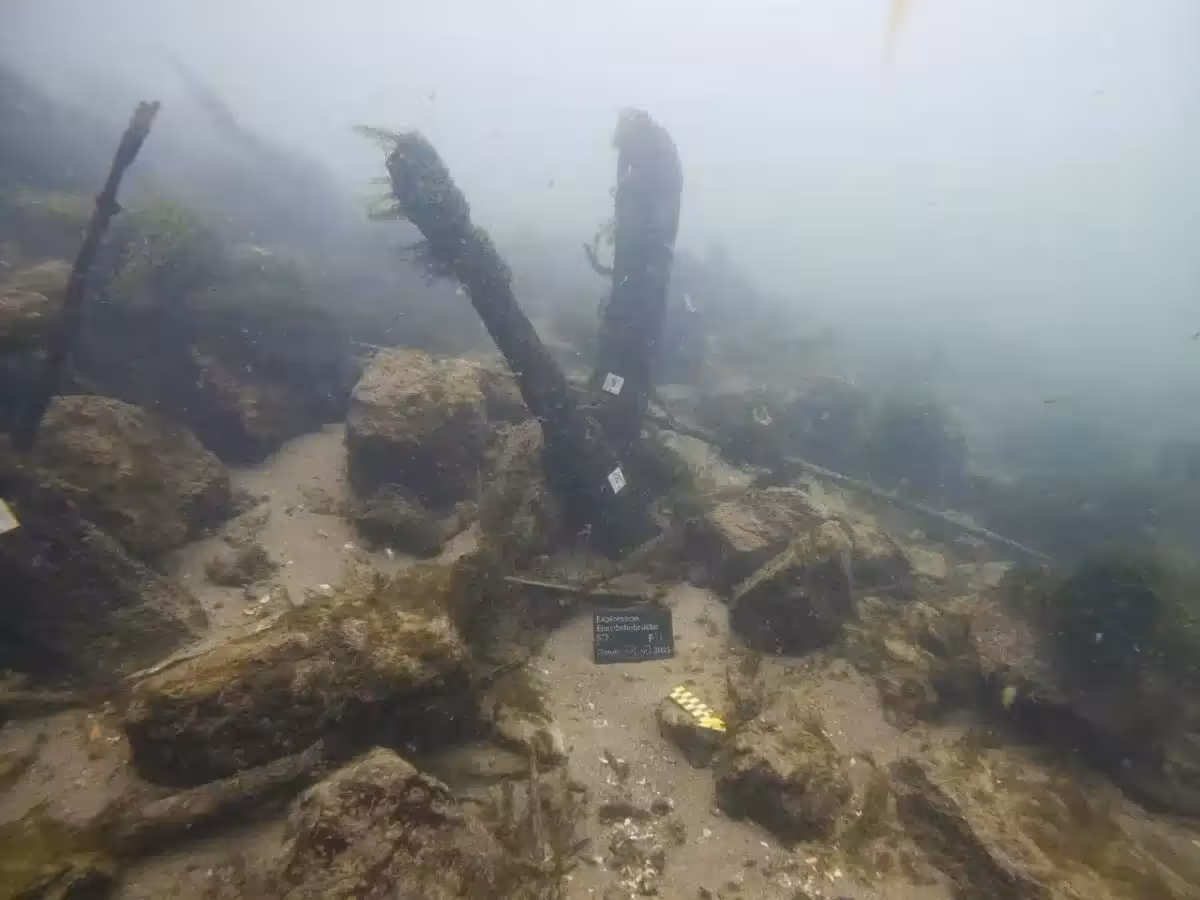 Wooden Remains Of A Roman Bridge.
