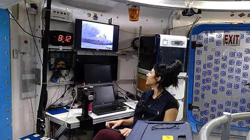 Nasa Backed Study Reve