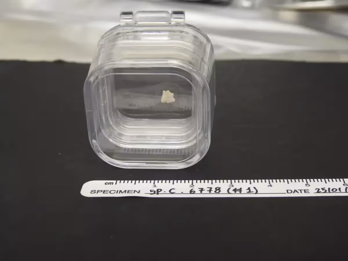Calcite Fragment With Pigment Underneath From Escoural
