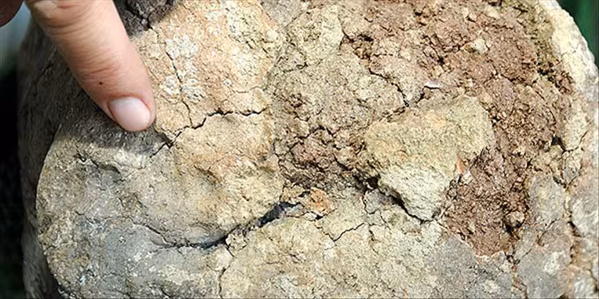 Ancient Clay Bearing Preserved Fingerprints From Yeşilova Höyük.