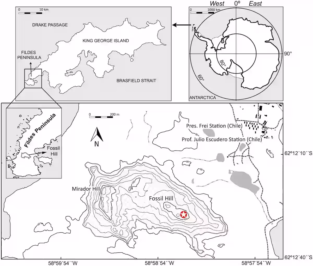Map Of The Fossil Hill Discovery Site On King George Island, Antarctica.