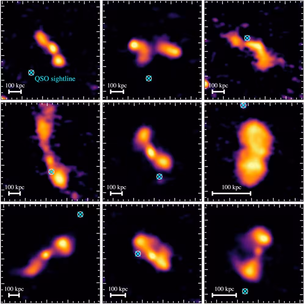 LOFAR radio images of nine example radio galaxies used in our analyses. The background-quasar sight lines from the DESI spectroscopic dataset are shown by cyan symbols.