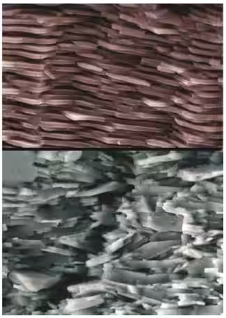 Structure Of Natural Nacre (top) And Synthetic Nacre (bottom), Shown At The Same Scale.