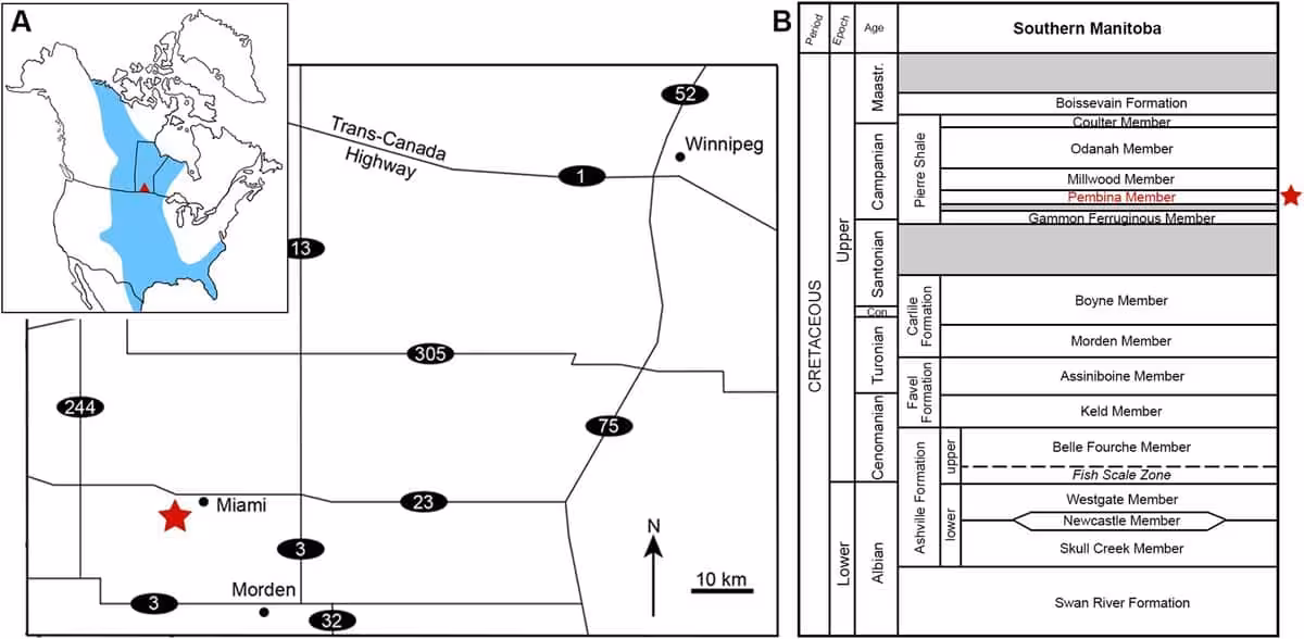 Location Of The Enchoteuthis Fossil Discovery In Manitoba, Canada