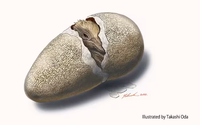 An Artist’s View Of A Tiny Dinosaur Coming To Life From One Of Japan’s Oldest Fossil Eggs.