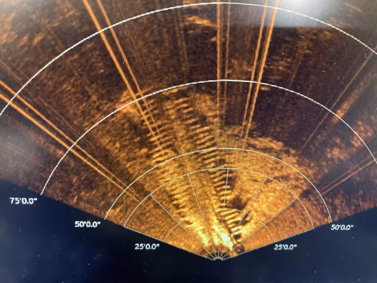 Sonar Image Of The G.l. Newman