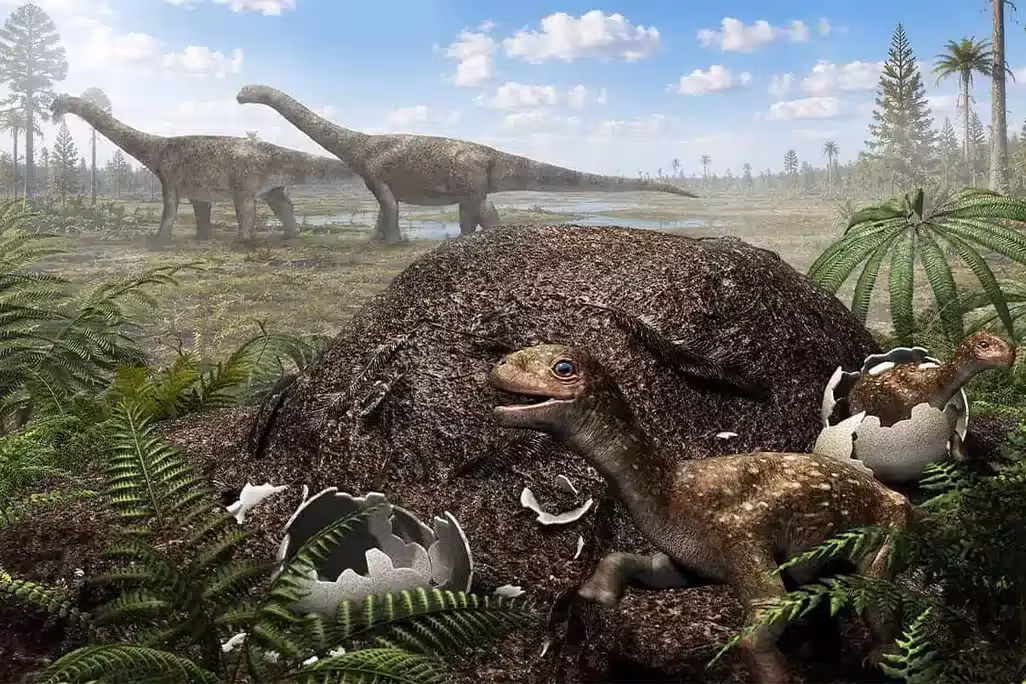 Artist’s Impression Of A Giant Titanosaur Protecting Its Nest.