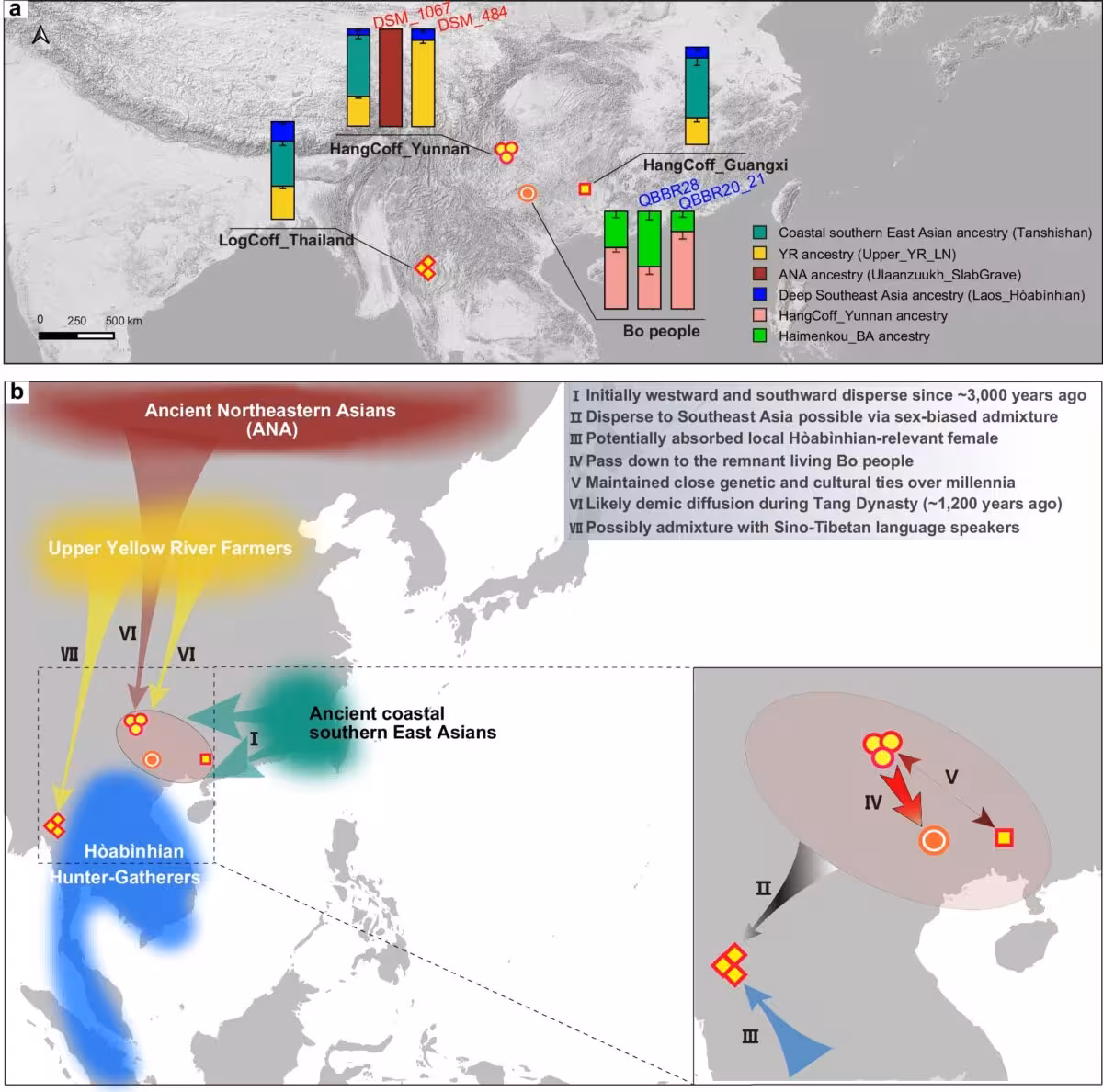 A Genetic Map Reveals The Ancient Population History Behind China’s Mysterious Cliffside Burials.