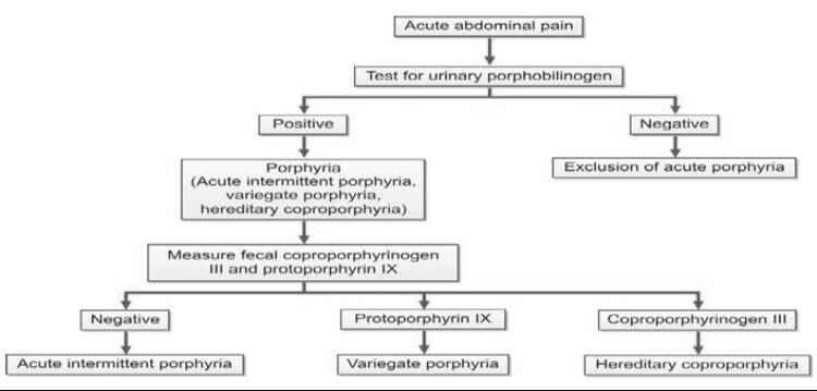 Evaluation of acute neurovisceral porphyria