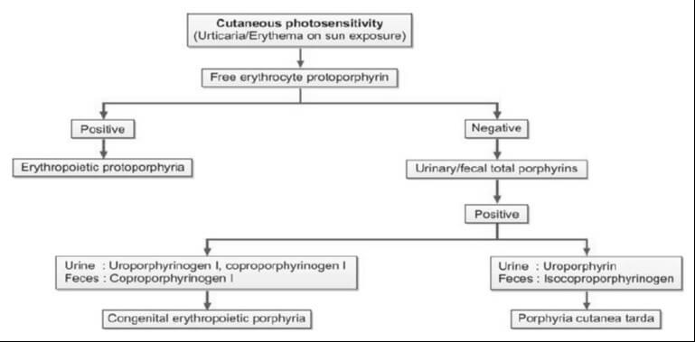 Evaluation of cutaneous porphyrias