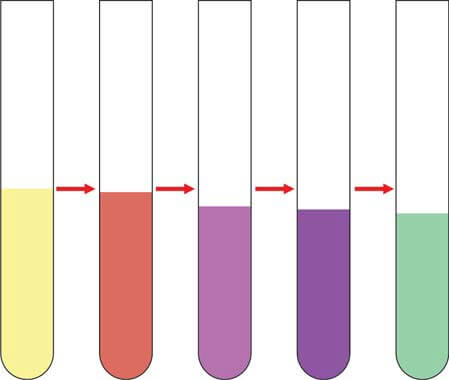 Positive Gmelins test for bilirubin showing play of colors