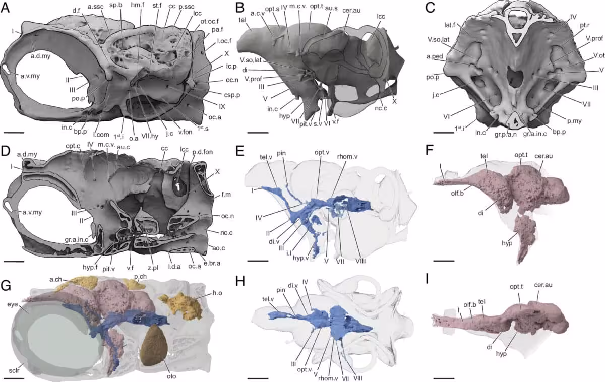 Pnas.2610438123fig01