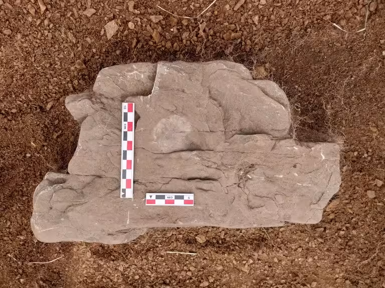 The Silver Coin Was Discovered Resting On A Foundation Stone Of The Ruined Church At The Former Ciudad Del Rey Don Felipe Settlement In Present Day Chile.