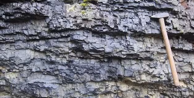 A Close View Of Ancient Layered Rocks Studied By Researchers To Investigate The Origins Of A Controversial Carbon Isotope Signal From Early Earth.