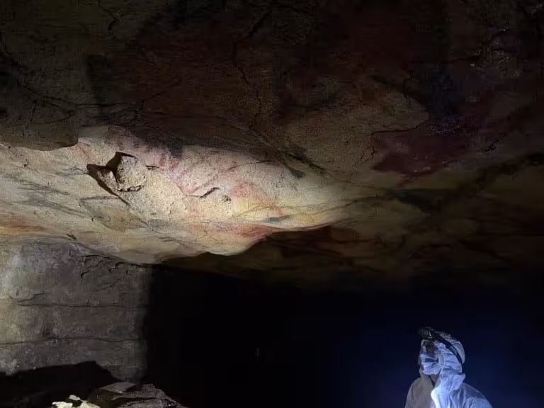 Prehistoric Cave Paintings On The Ceiling Of Altamira Cave In Spain.