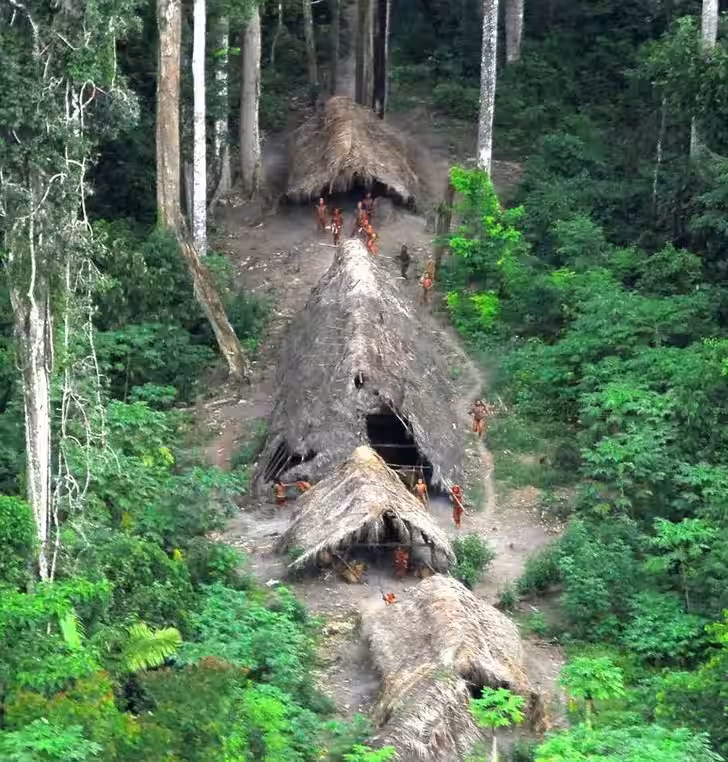 Uncontacted Indigenous people in Brazil seen from the air during a Brazilian government expedition, May 2008. © G. Miranda/FUNAI/Survival