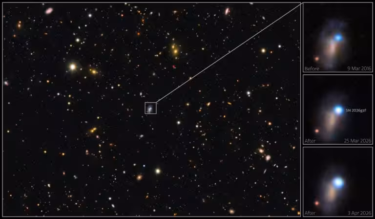 These Images Capture Sn 2026gzf Growing Brighter After Its Initial Detection On March 21, 2026.
