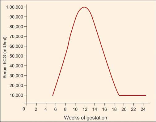 Level of human chorionic gonadotropin during pregnancy