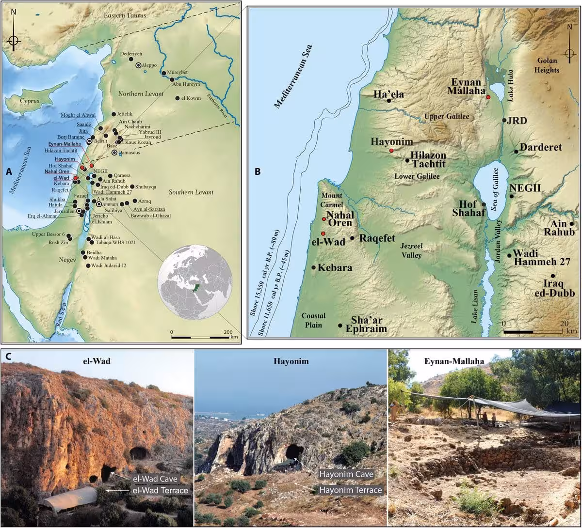 Location Of Key Natufian Archaeological Sites In The Levant