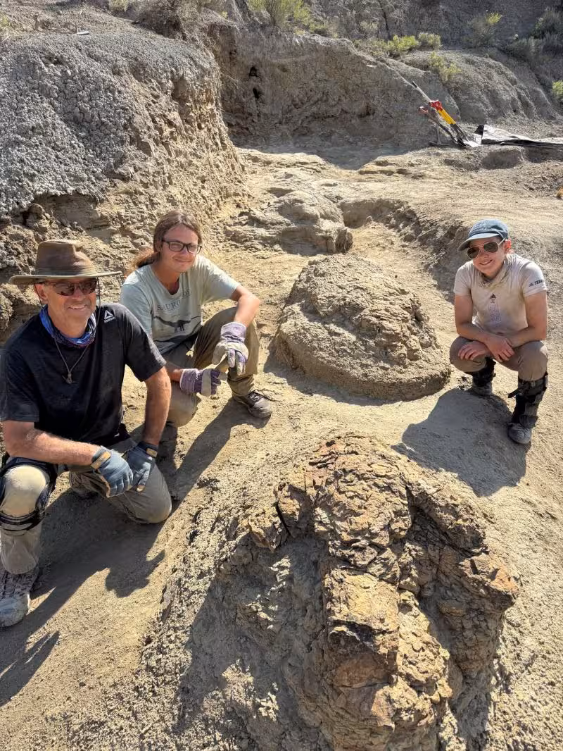 The First Known Trackway Likely Left By An Adult T. Rex.