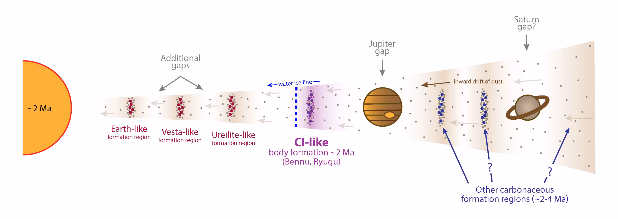 Dust rings as regions of formation for various celestial bodies in the protoplanetary disc orbiting the Sun.