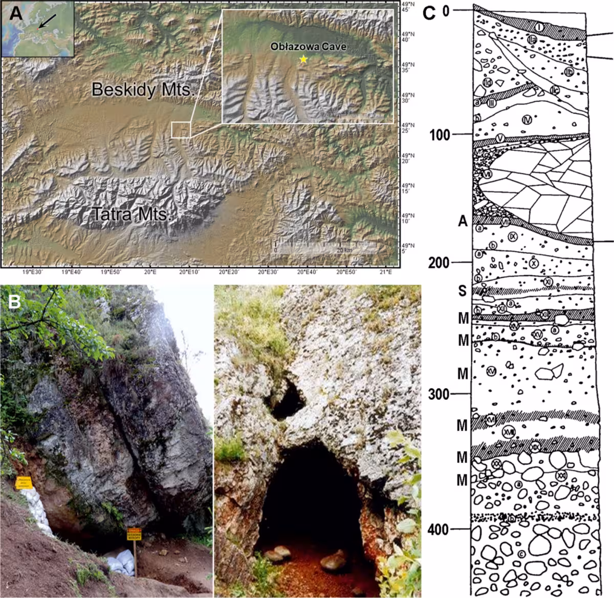 Location, Entrance, And Stratigraphy Of Obłazowa Cave, Poland. Panel A Shows The Geographic Location Of The Cave; Panel B Shows The Western